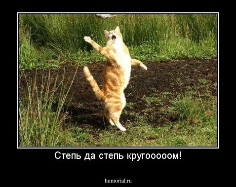 Степь да степь кругооооом!