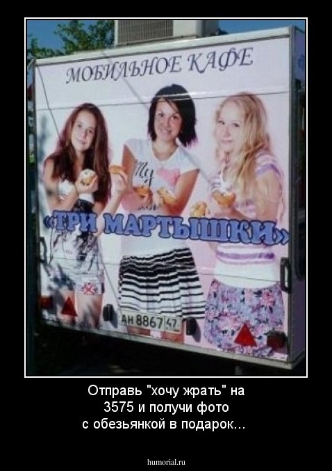 Отправь "хочу жрать" на 3575 и получи фото с обезьянкой в подарок...