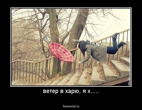 ветер в харю, я х.....
