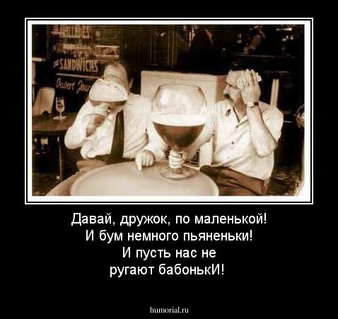 Давай, дружок, по маленькой! И бум немного пьяненьки! И пусть нас не ругают бабонькИ!