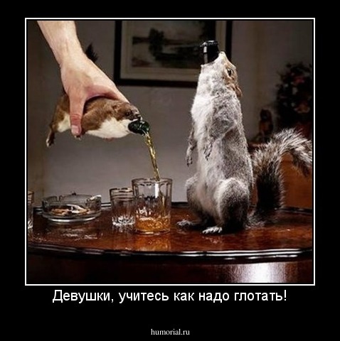 Девушки, учитесь как надо глотать!