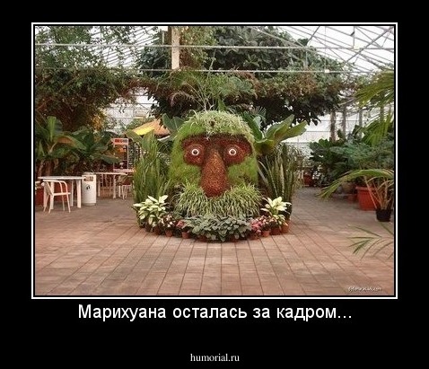 Марихуана осталась за кадром...
