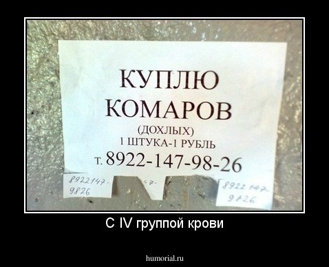 С IV группой крови