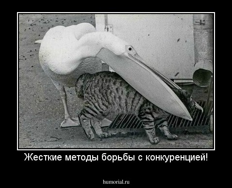 Жесткие методы борьбы с конкуренцией!