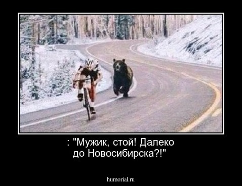 : "Мужик, стой! Далеко до Новосибирска?!"