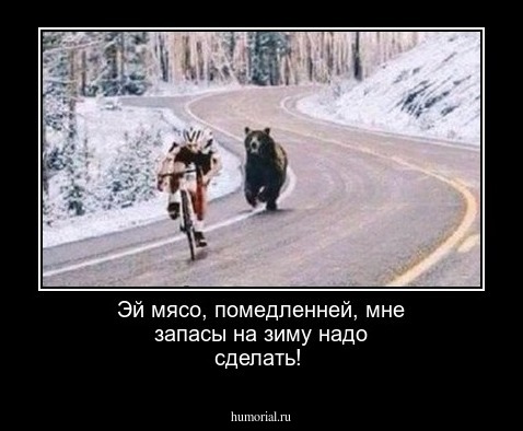 Эй мясо, помедленней, мне запасы на зиму надо сделать! 
