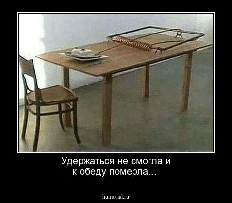 Удержаться не смогла и к обеду померла...