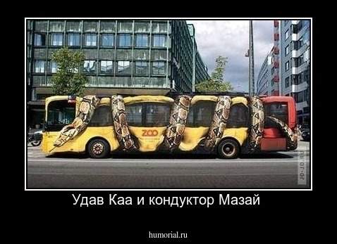 Удав Каа и кондуктор Мазай 