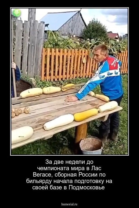 За две недели  до чемпионата мира в Лас Вегасе, сборная России по бильярду начала подготовку на своей базе в Подмосковье 