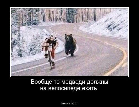 Вообще то медведи должны на велосипеде ехать 