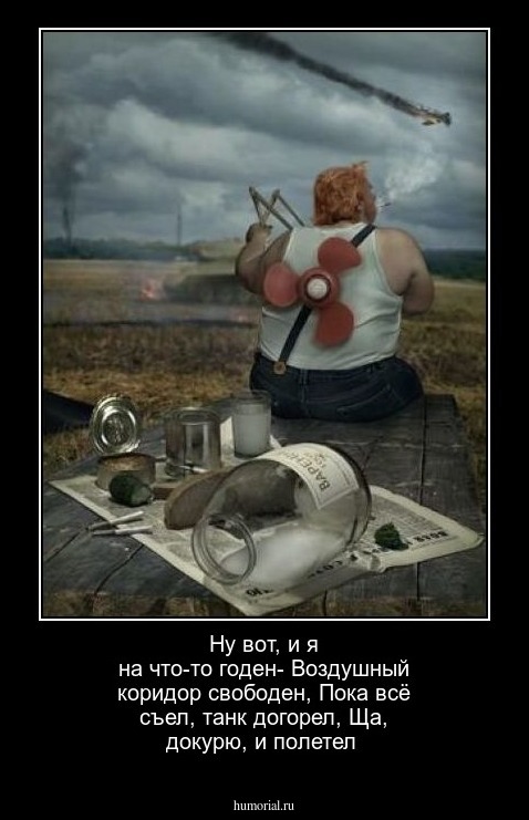 Ну вот, и я на что-то годен-
Воздушный коридор свободен,
Пока всё съел, танк догорел,
Ща, докурю, и полетел
