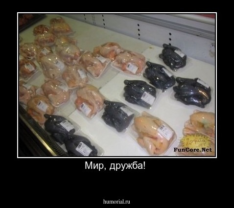 Мир, дружба! 
