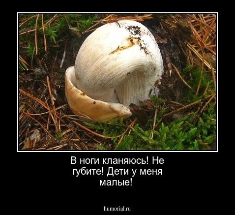 В ноги кланяюсь! Не губите! Дети у меня малые!