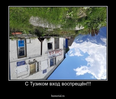 С Тузиком вход воспрещён!!!