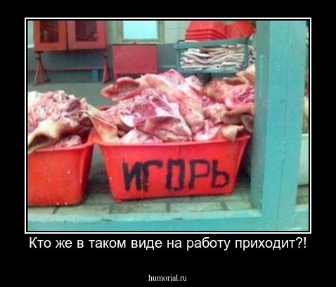 Кто же в таком виде на работу приходит?!