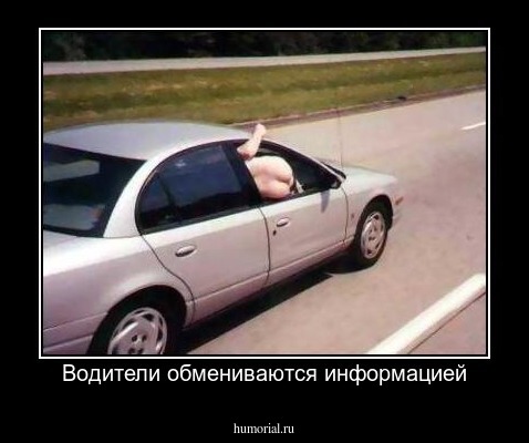 Водители обмениваются информацией