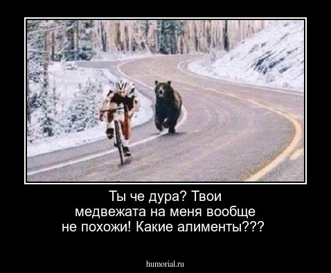 Ты че дура? Твои медвежата на меня вообще не похожи! Какие алименты??? 