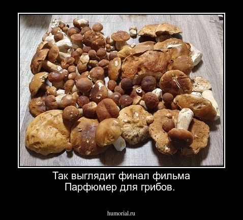 Так выглядит финал фильма Парфюмер для грибов.