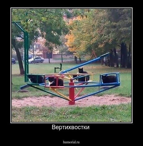 Вертихвостки 