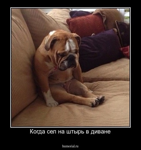 Когда сел на штырь в диване