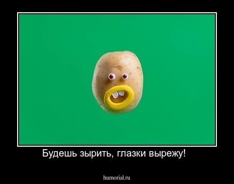 Будешь зырить, глазки вырежу!  