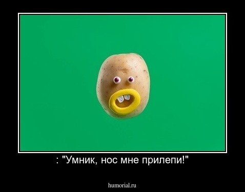 : "Умник, нос мне прилепи!"