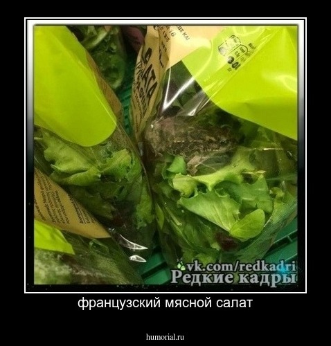 французский мясной салат
