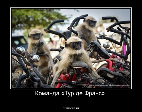 Команда «Тур де Франс».