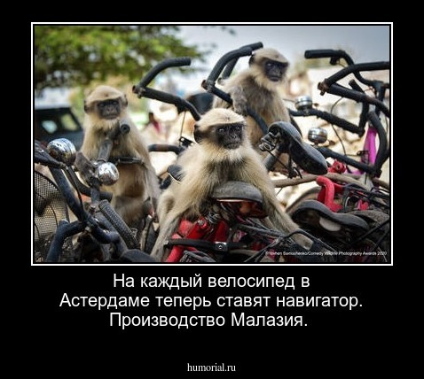 На каждый велосипед в Астердаме теперь ставят навигатор. Производство Малазия.