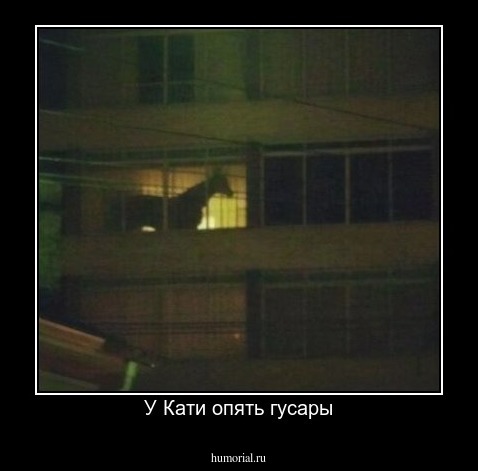 У Кати опять гусары
