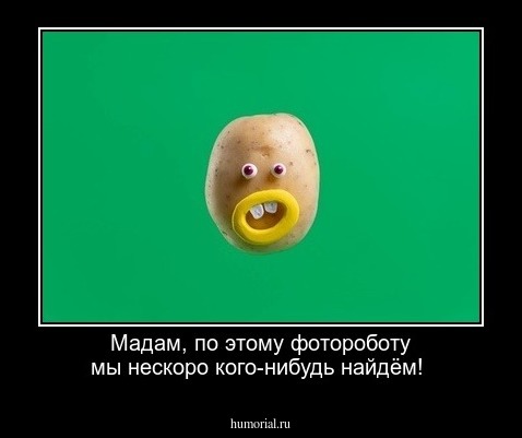 Мадам, по этому фотороботу мы нескоро кого-нибудь найдём!