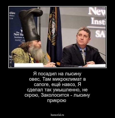 Я посадил на лысину овес,
Там микроклимат в сапоге, ещё навоз,
Я сделал так умышленно, не скрою,
Заколосится - лысину прикрою