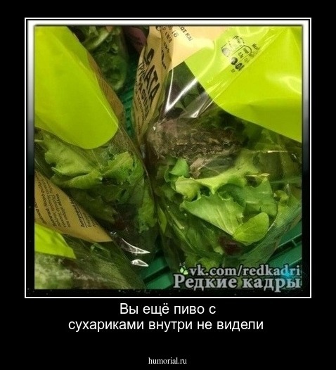 Вы ещё пиво с сухариками внутри не видели
