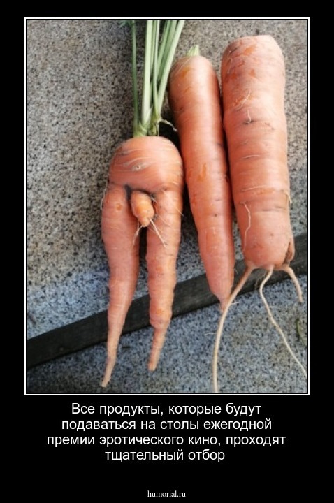 Все продукты, которые будут подаваться на столы  ежегодной премии эротического кино, проходят тщательный отбор