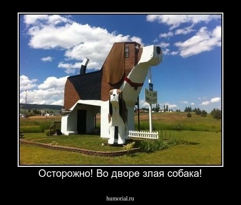 Осторожно! Во дворе злая собака!
