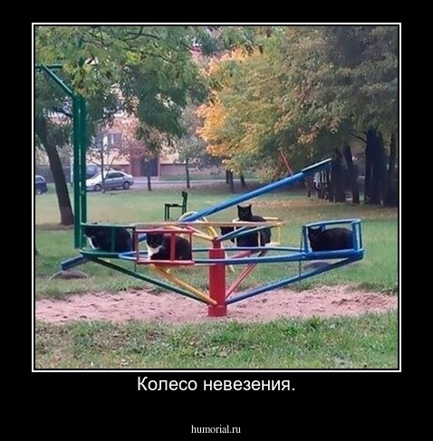 Колесо невезения.