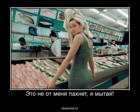 Это не от меня пахнет, я мытая!