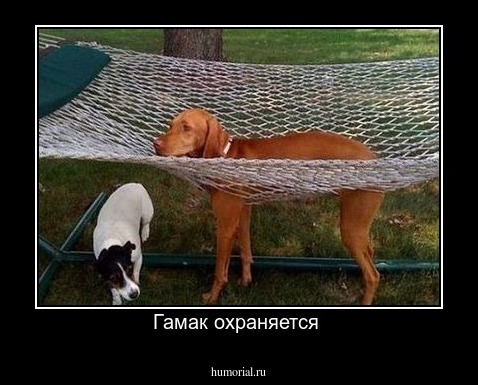 Гамак охраняется 