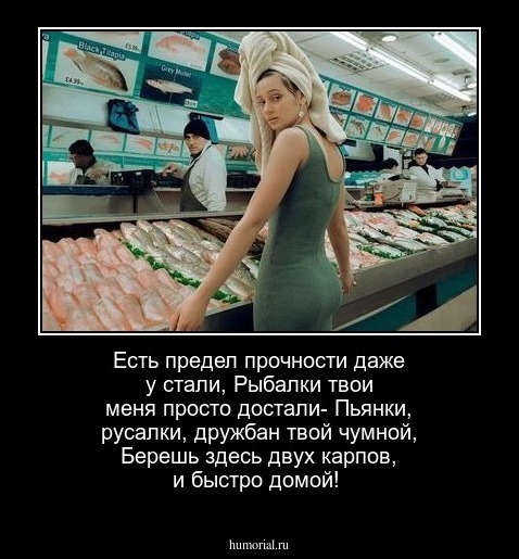 Есть предел прочности даже у стали,
Рыбалки твои меня просто достали-
Пьянки, русалки, дружбан твой чумной,
Берешь здесь двух карпов, и быстро домой!
