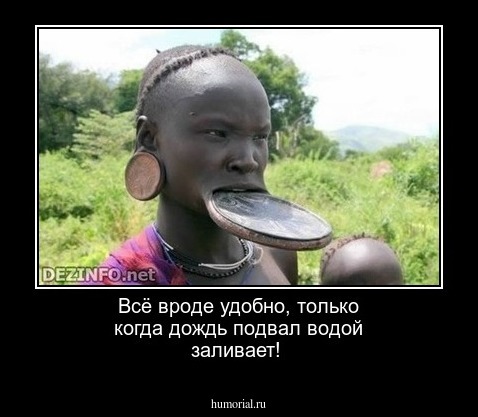 Всё вроде удобно, только когда дождь подвал водой заливает!