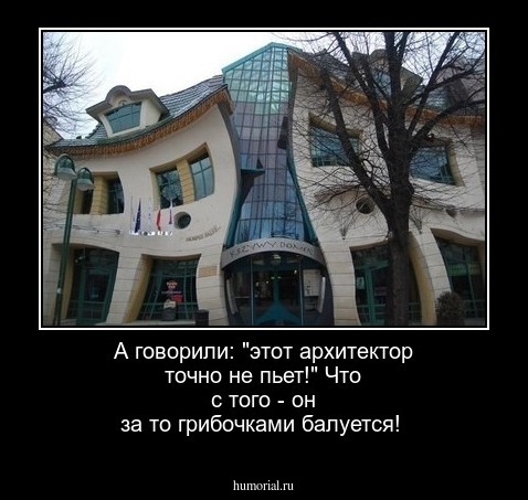 А говорили: "этот архитектор точно не пьет!" Что с того - он за то грибочками балуется!