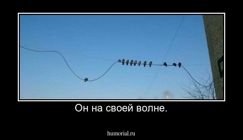 Он на своей волне.