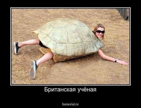 Британская учёная