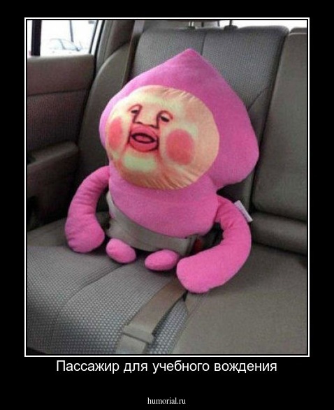 Пассажир для учебного вождения
