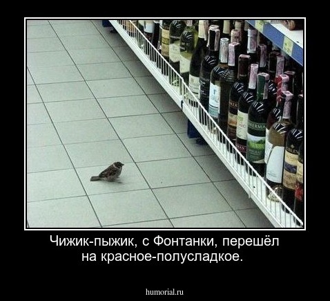  Чижик-пыжик, с Фонтанки, перешёл на красное-полусладкое.