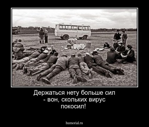 Держаться нету больше сил - вон, скольких вирус покосил!