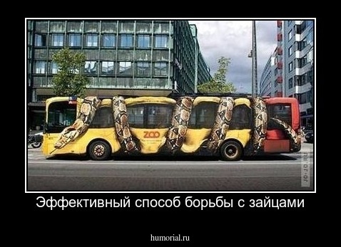Эффективный способ борьбы с зайцами