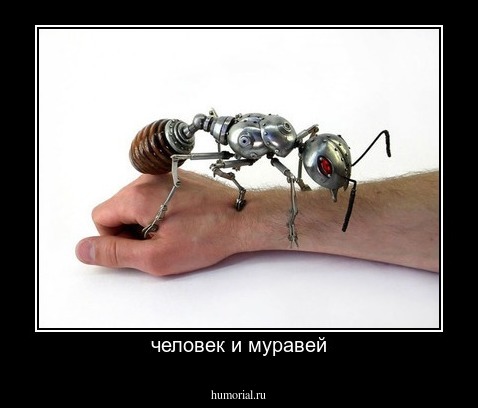 человек и муравей