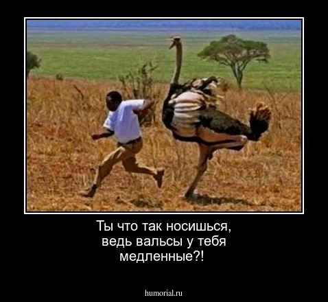 Ты что так носишься, ведь вальсы у тебя медленные?!