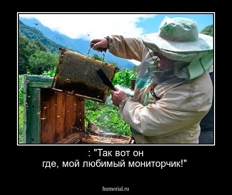 : "Так вот он где, мой любимый мониторчик!"